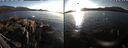 ./images/rivers-inlet/ethel/20220305/ethel20220305_165949.jpg