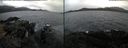 ./images/rivers-inlet/ethel/20220321/ethel20220321_165442.jpg