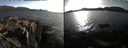 ./images/rivers-inlet/ethel/20220328/ethel20220328_174920.jpg