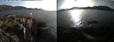 ./images/rivers-inlet/ethel/20220328/ethel20220328_181449.jpg