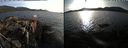 ./images/rivers-inlet/ethel/20220328/ethel20220328_181949.jpg