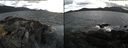 ./images/rivers-inlet/ethel/20220329/ethel20220329_174948.jpg