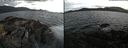 ./images/rivers-inlet/ethel/20220329/ethel20220329_190949.jpg
