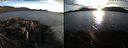 ./images/rivers-inlet/ethel/20220410/ethel20220410_193448.jpg