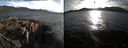 ./images/rivers-inlet/ethel/20220412/ethel20220412_185948.jpg