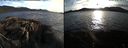 ./images/rivers-inlet/ethel/20220412/ethel20220412_191948.jpg