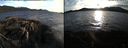 ./images/rivers-inlet/ethel/20220412/ethel20220412_192448.jpg
