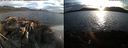 ./images/rivers-inlet/ethel/20220413/ethel20220413_194448.jpg