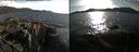 ./images/rivers-inlet/ethel/20220414/ethel20220414_181948.jpg