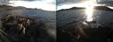 ./images/rivers-inlet/ethel/20220415/ethel20220415_194448.jpg