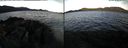 ./images/rivers-inlet/ethel/20220420/ethel20220420_071448.jpg