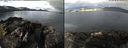 ./images/rivers-inlet/ethel/20220426/ethel20220426_075448.jpg