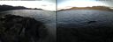 ./images/rivers-inlet/ethel/20220428/ethel20220428_070948.jpg