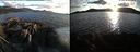 ./images/rivers-inlet/ethel/20220428/ethel20220428_195448.jpg