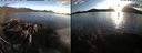 ./images/rivers-inlet/ethel/20220506/ethel20220506_195948.jpg