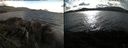 ./images/rivers-inlet/ethel/20220507/ethel20220507_175948.jpg