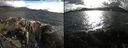 ./images/rivers-inlet/ethel/20220507/ethel20220507_182948.jpg