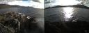 ./images/rivers-inlet/ethel/20220507/ethel20220507_185948.jpg