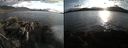 ./images/rivers-inlet/ethel/20220507/ethel20220507_194448.jpg
