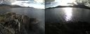 ./images/rivers-inlet/ethel/20220508/ethel20220508_184948.jpg