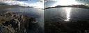 ./images/rivers-inlet/ethel/20220519/ethel20220519_183947.jpg