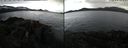 ./images/rivers-inlet/ethel/20220526/ethel20220526_082947.jpg