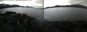 ./images/rivers-inlet/ethel/20220526/ethel20220526_083947.jpg
