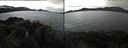 ./images/rivers-inlet/ethel/20220526/ethel20220526_084447.jpg