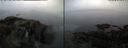 ./images/rivers-inlet/ethel/20220530/ethel20220530_074447.jpg