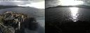 ./images/rivers-inlet/ethel/20220530/ethel20220530_193947.jpg