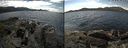 ./images/rivers-inlet/ethel/20220531/ethel20220531_141947.jpg