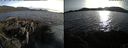 ./images/rivers-inlet/ethel/20220531/ethel20220531_192947.jpg