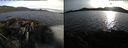 ./images/rivers-inlet/ethel/20220531/ethel20220531_201447.jpg