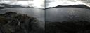 ./images/rivers-inlet/ethel/20220603/ethel20220603_064447.jpg