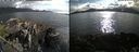 ./images/rivers-inlet/ethel/20220616/ethel20220616_184446.jpg