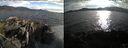 ./images/rivers-inlet/ethel/20220617/ethel20220617_192446.jpg