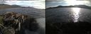 ./images/rivers-inlet/ethel/20220617/ethel20220617_194946.jpg