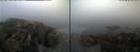 ./images/rivers-inlet/ethel/20220627/ethel20220627_062945.jpg