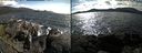 ./images/rivers-inlet/ethel/20220717/ethel20220717_164959.jpg