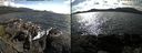 ./images/rivers-inlet/ethel/20220717/ethel20220717_165959.jpg