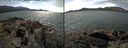 ./images/rivers-inlet/ethel/20220723/ethel20220723_141959.jpg