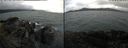 ./images/rivers-inlet/ethel/20220810/ethel20220810_122958.jpg