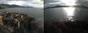 ./images/rivers-inlet/ethel/20220812/ethel20220812_194458.jpg