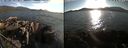 ./images/rivers-inlet/ethel/20220818/ethel20220818_185957.jpg
