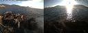 ./images/rivers-inlet/ethel/20220819/ethel20220819_193957.jpg