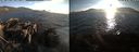 ./images/rivers-inlet/ethel/20220819/ethel20220819_194457.jpg