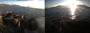 ./images/rivers-inlet/ethel/20220819/ethel20220819_195957.jpg