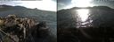 ./images/rivers-inlet/ethel/20220820/ethel20220820_184457.jpg