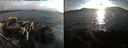 ./images/rivers-inlet/ethel/20220820/ethel20220820_193957.jpg