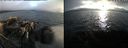 ./images/rivers-inlet/ethel/20220820/ethel20220820_195457.jpg
